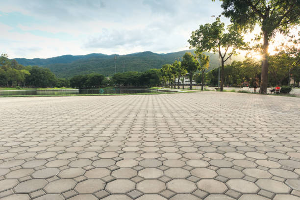 Best Residential Paver Driveway  in Radium Springs, NM